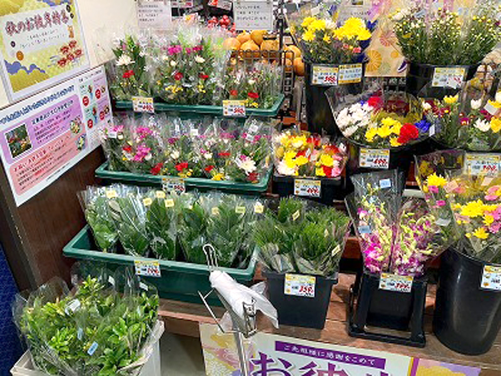 スーパーマーケット花売り場への卸販売