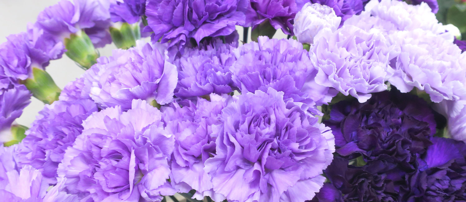 アレンジメント