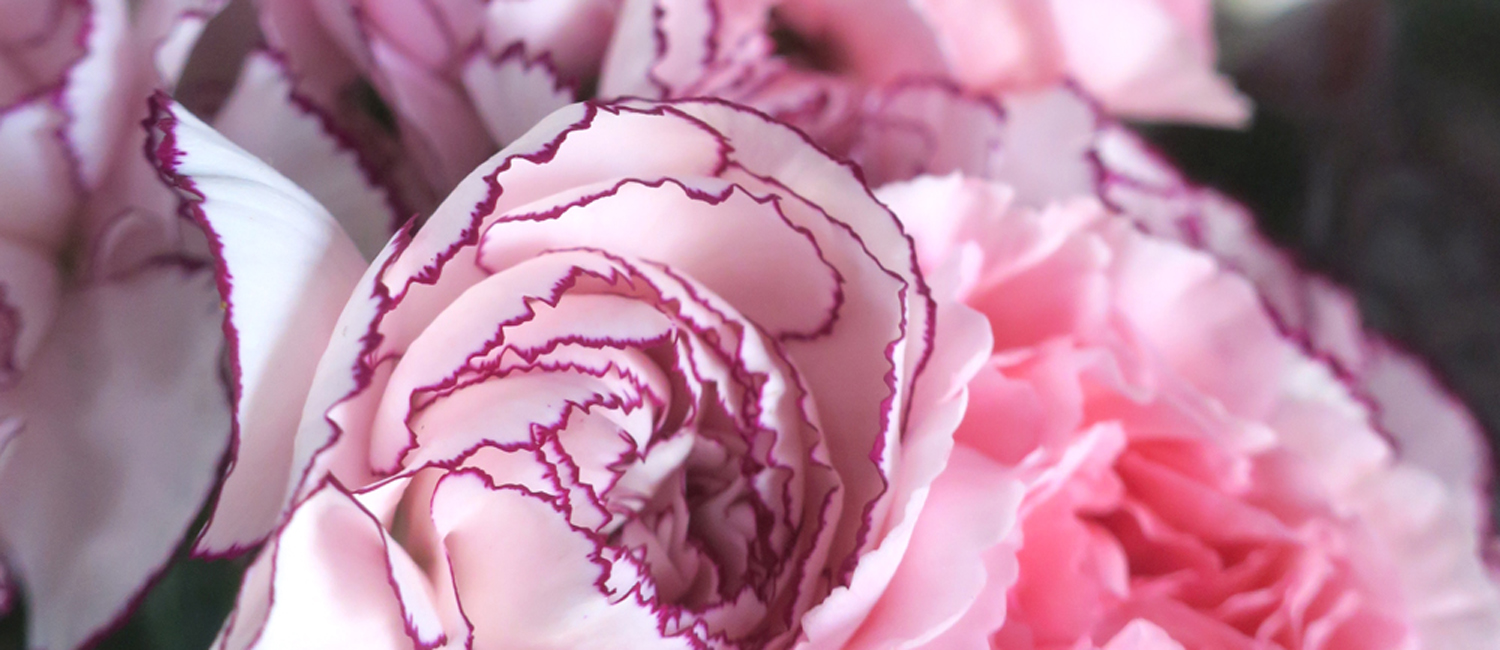 アレンジメント